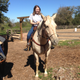 Image for article titled Horse: The Jalopnik Review